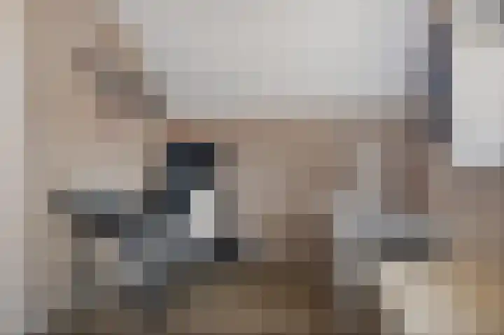 van der Meulenstraat 3 Zwartsluis thumbnail 38