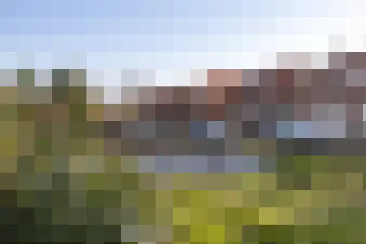 van der Meulenstraat 3 Zwartsluis thumbnail 6