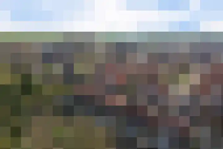 van der Meulenstraat 3 Zwartsluis thumbnail 8