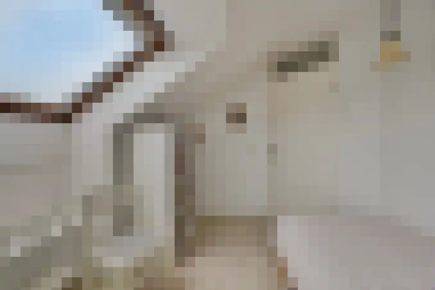 Van der Meulenstraat 32 Barendrecht thumbnail 20