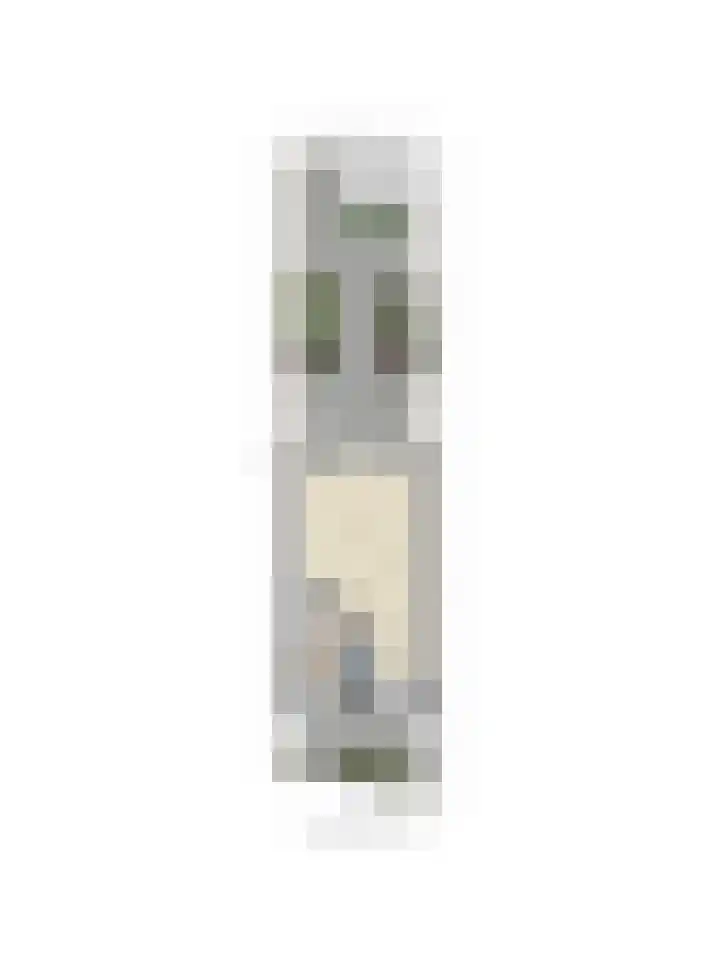 Van der Meulenstraat 5 Barendrecht thumbnail 34
