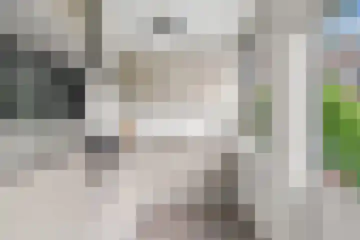 Van der Meydestraat 10 B Rotterdam thumbnail 12