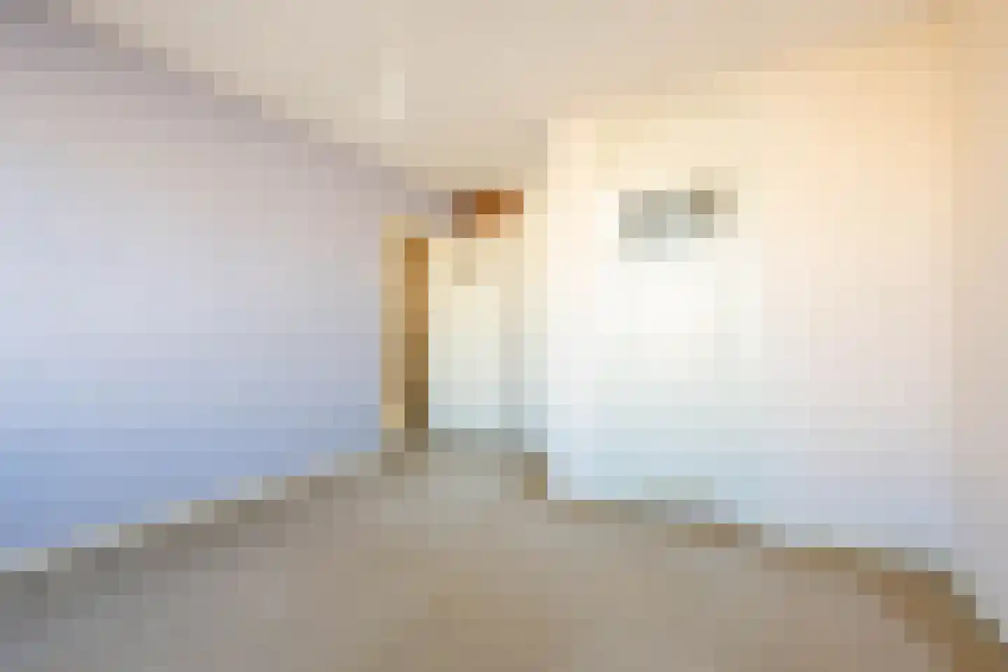 Van der Meydestraat 10 B Rotterdam thumbnail 17