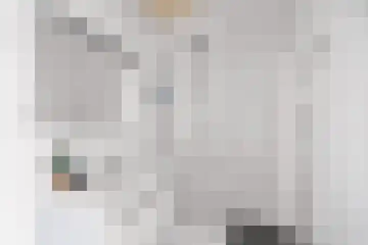 Van der Meydestraat 10 B Rotterdam thumbnail 26