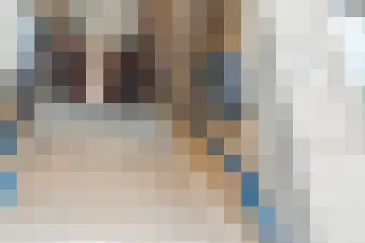 Van der Meydestraat 10 B Rotterdam thumbnail 32