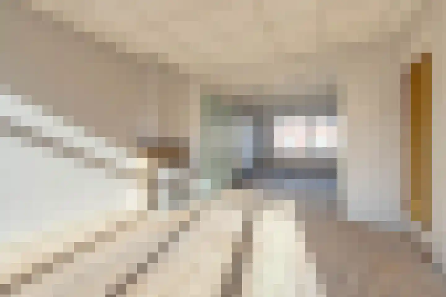 Van der Meydestraat 10 B Rotterdam thumbnail 7