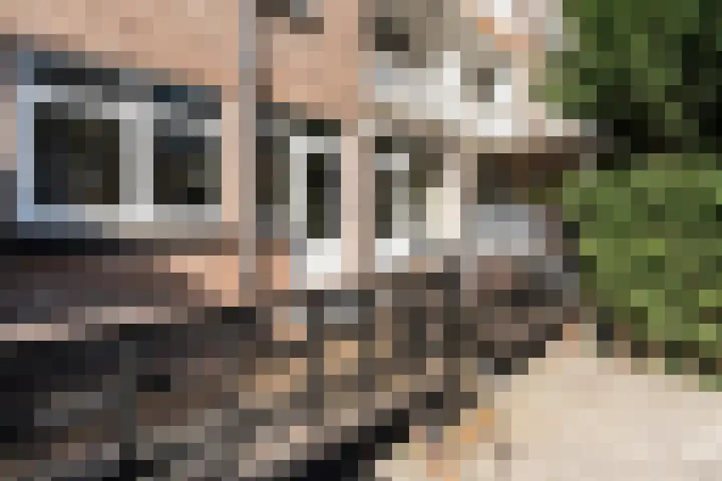 Van der Meydestraat 14 03 Rotterdam thumbnail 21
