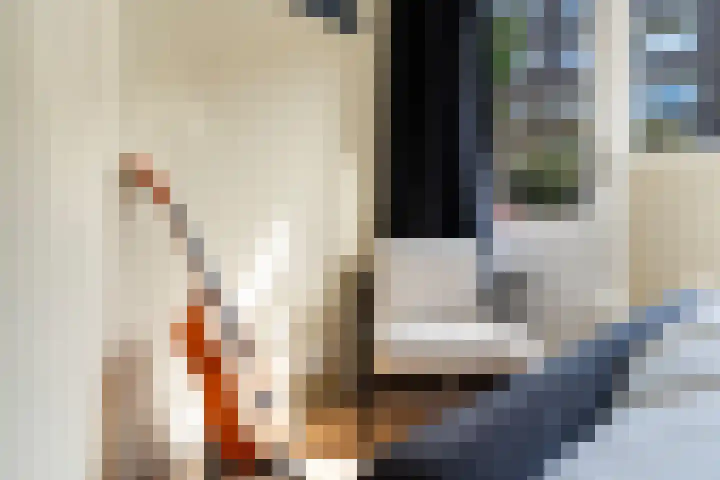 Van der Meydestraat 14 03 Rotterdam thumbnail 31