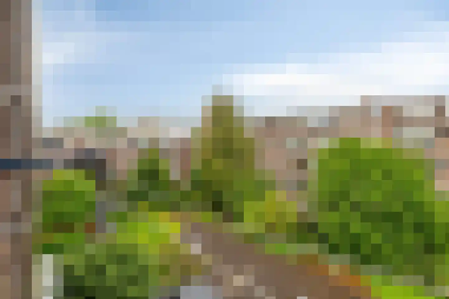Van der Meydestraat 16 03 Rotterdam thumbnail 10