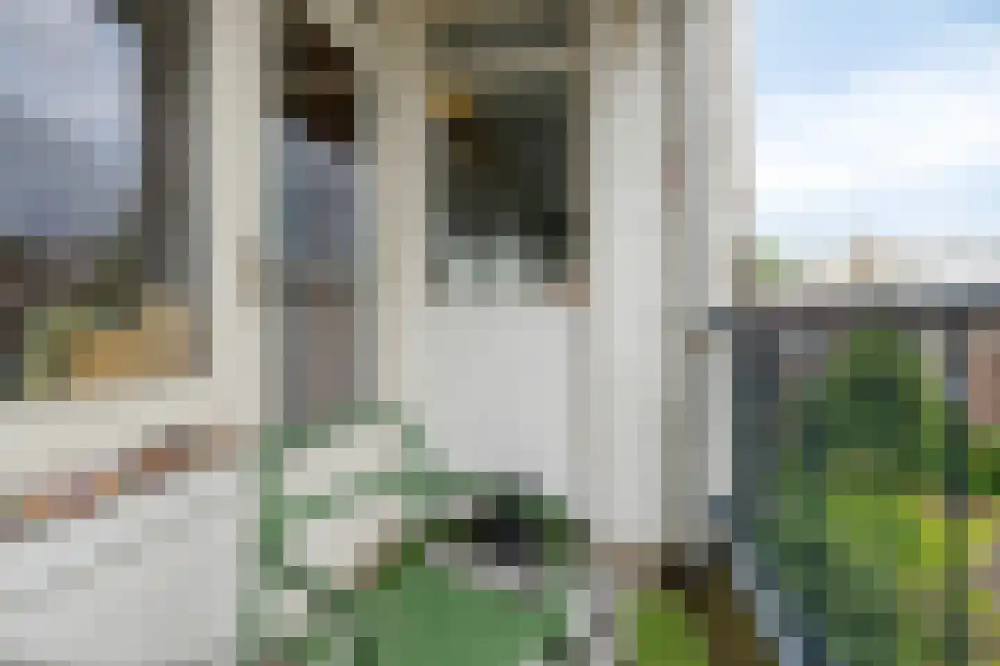 Van der Meydestraat 16 03 Rotterdam thumbnail 10
