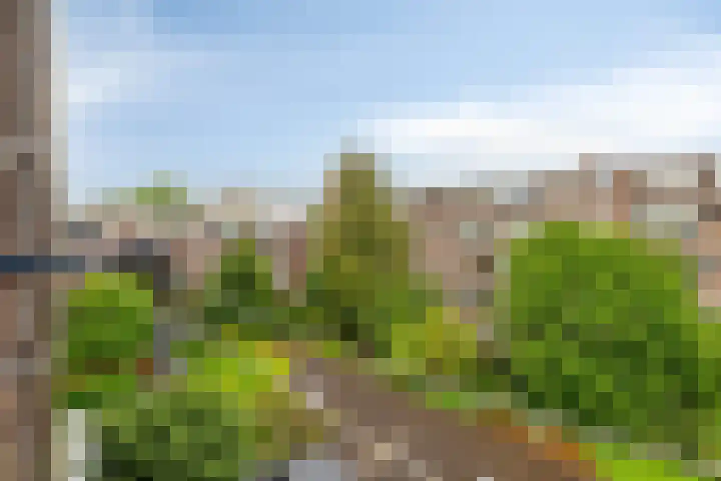 Van der Meydestraat 16 03 Rotterdam thumbnail 11