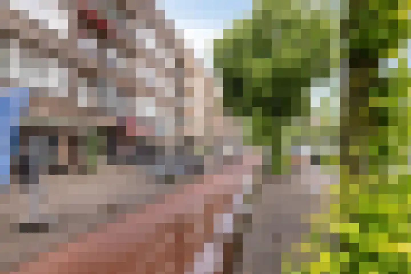 Van der Meydestraat 16 03 Rotterdam thumbnail 23