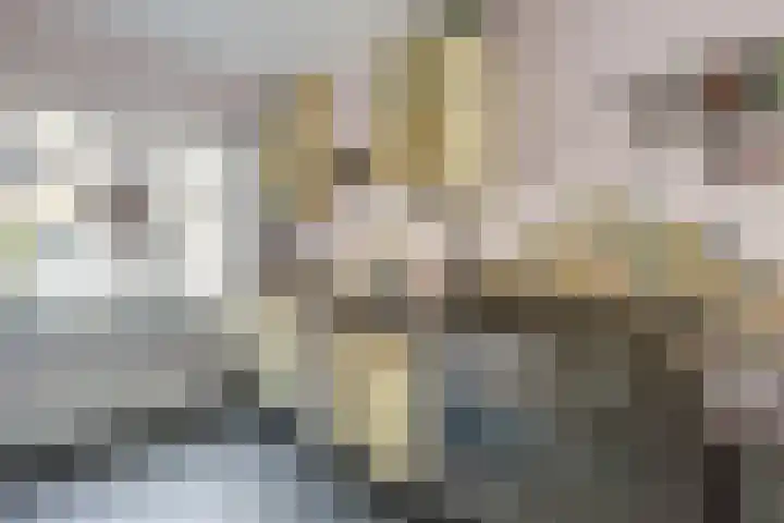 Van der Meydestraat 16 03 Rotterdam thumbnail 26