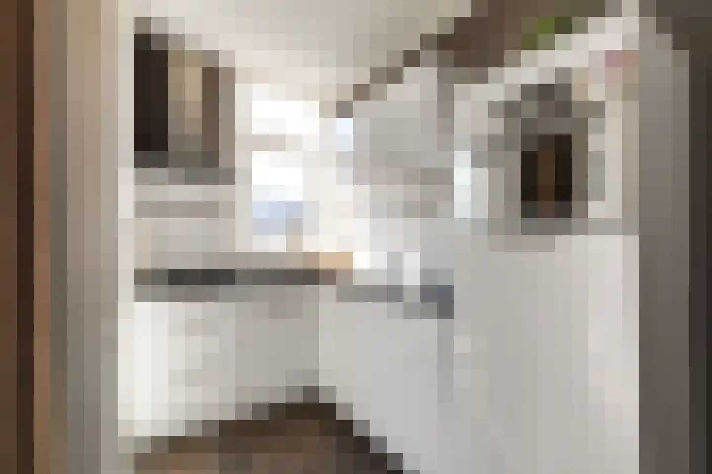 Van der Meydestraat 18 D Rotterdam thumbnail 7