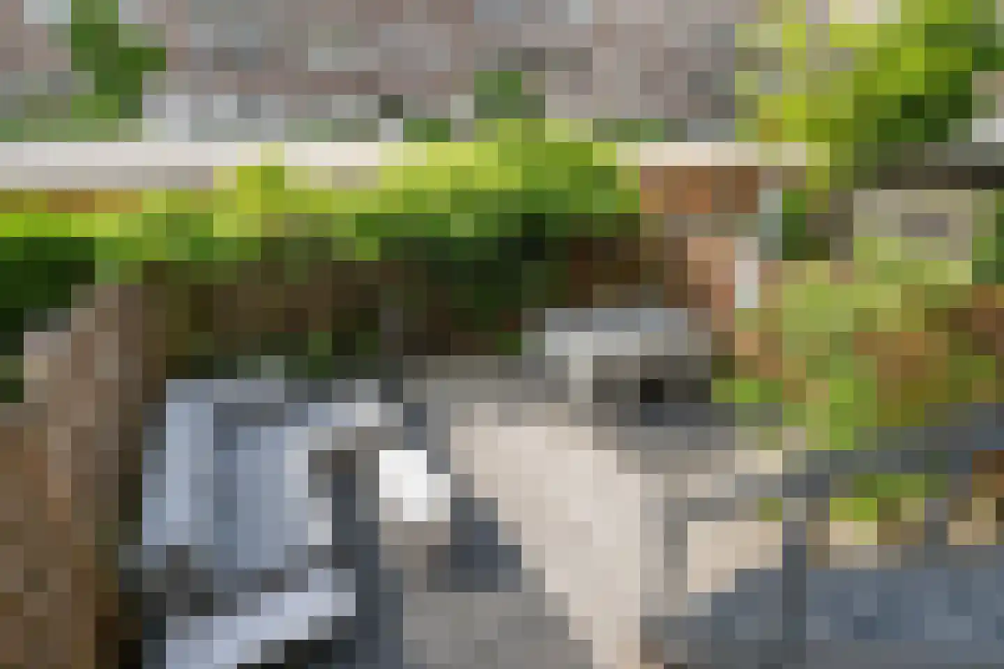 Van der Meydestraat 20 A Rotterdam thumbnail 31