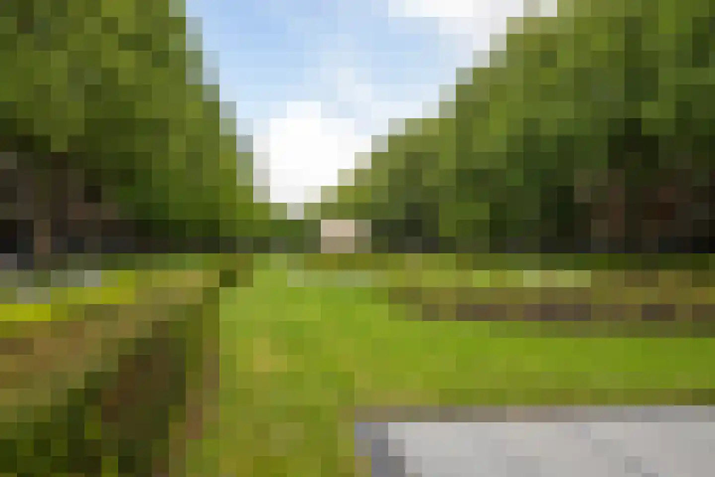 Van der Meydestraat 20 A Rotterdam thumbnail 41