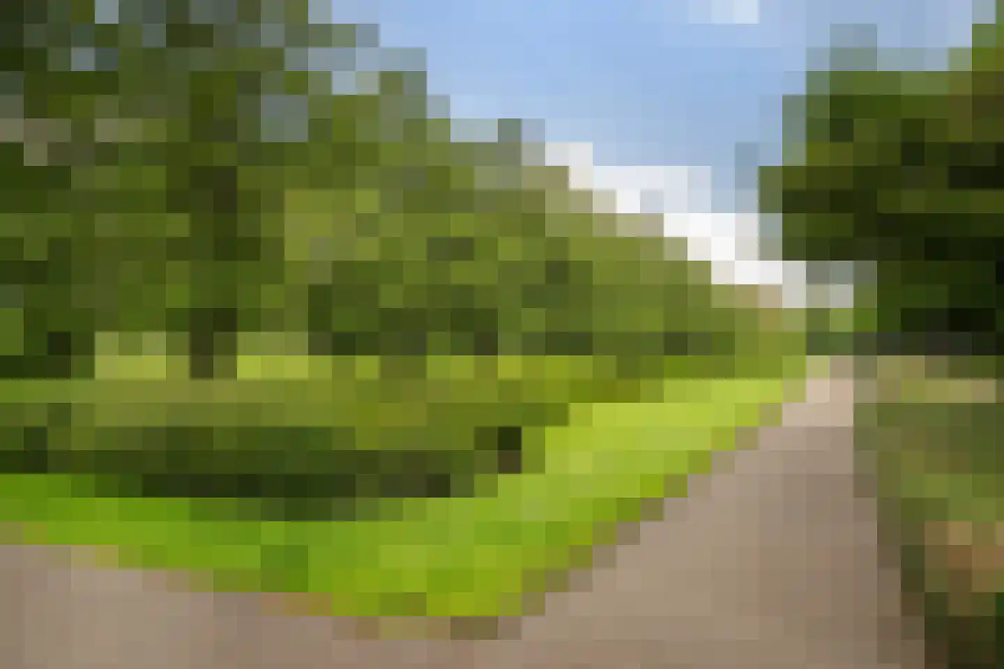 Van der Meydestraat 20 A Rotterdam thumbnail 42