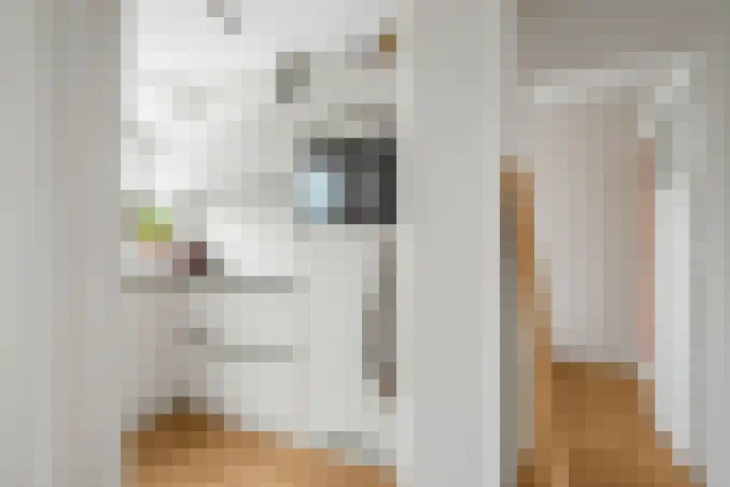 Van der Meydestraat 22 D Rotterdam thumbnail 16