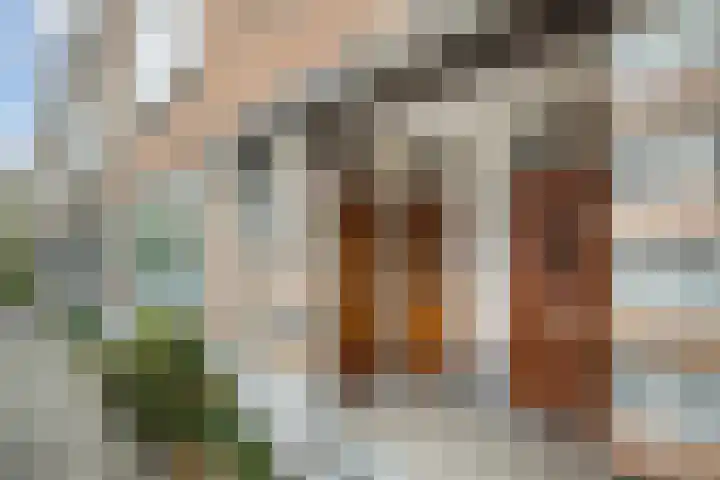 Van der Meydestraat 27 B Rotterdam thumbnail 46