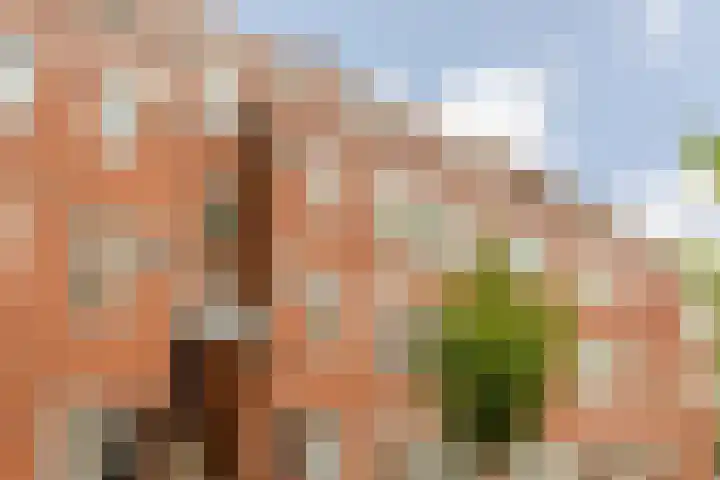 Van der Meydestraat 3 A Rotterdam thumbnail 28