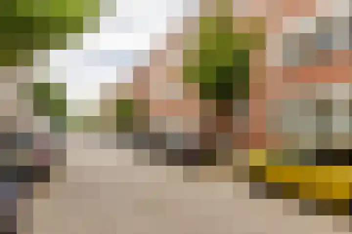 Van der Meydestraat 3 A Rotterdam thumbnail 29
