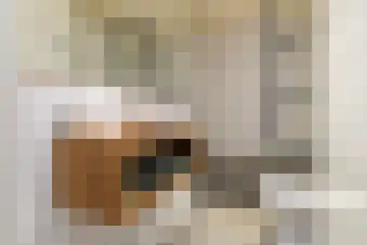 Van der Meydestraat 48 A Rotterdam thumbnail 16