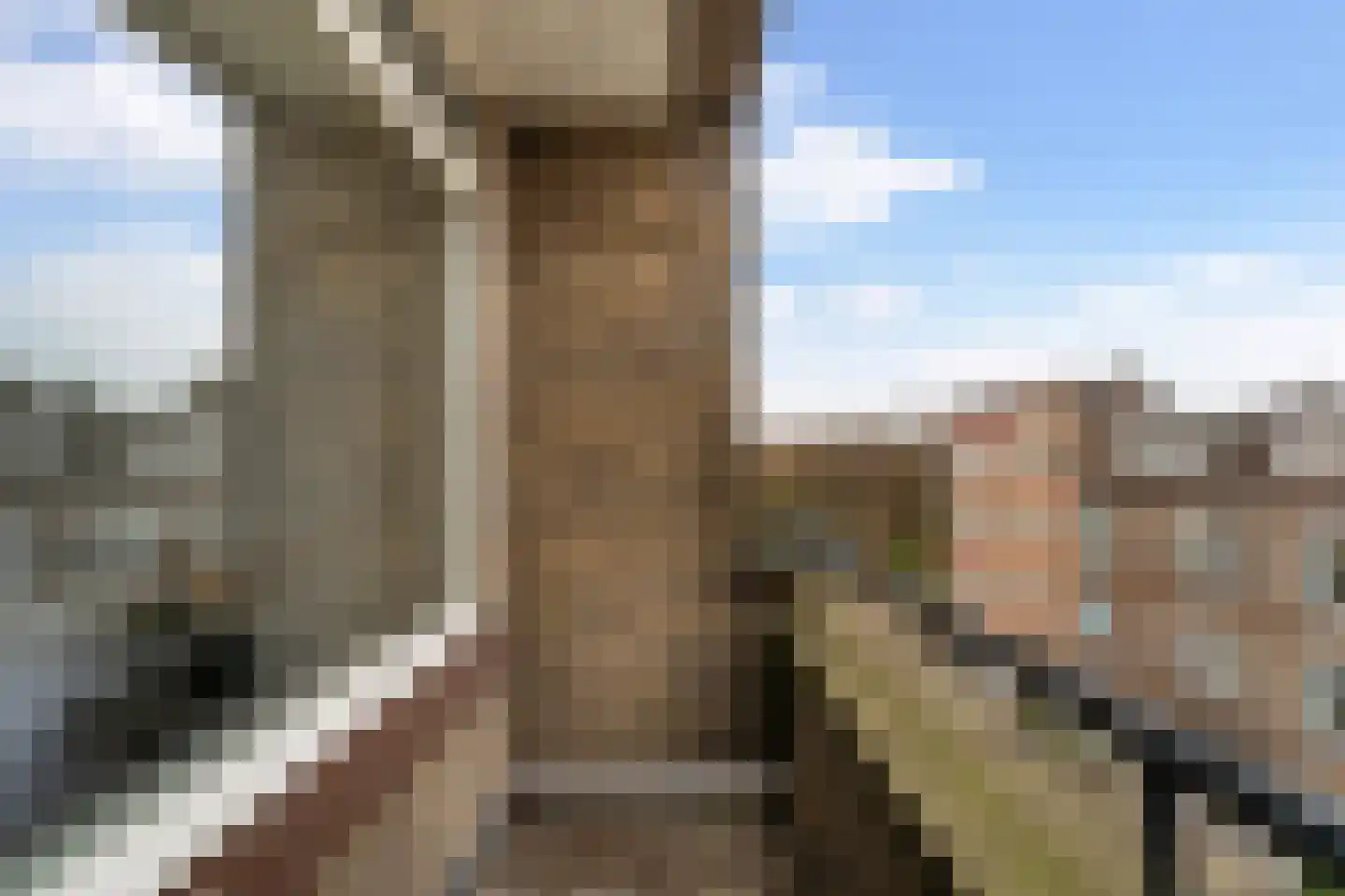 Van der Meydestraat 50 A 02 Rotterdam thumbnail 39