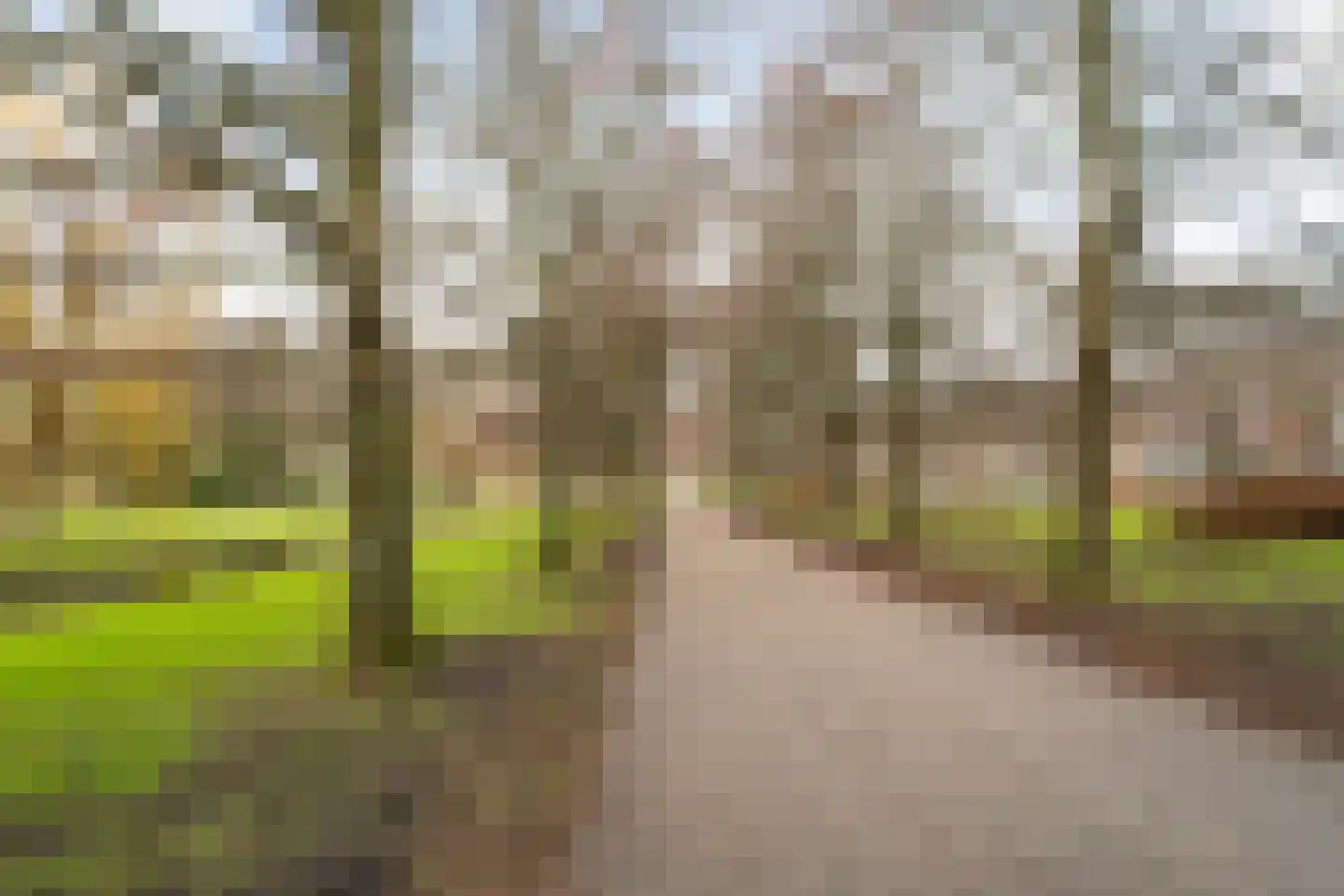 Van der Meydestraat 50 A 02 Rotterdam thumbnail 6