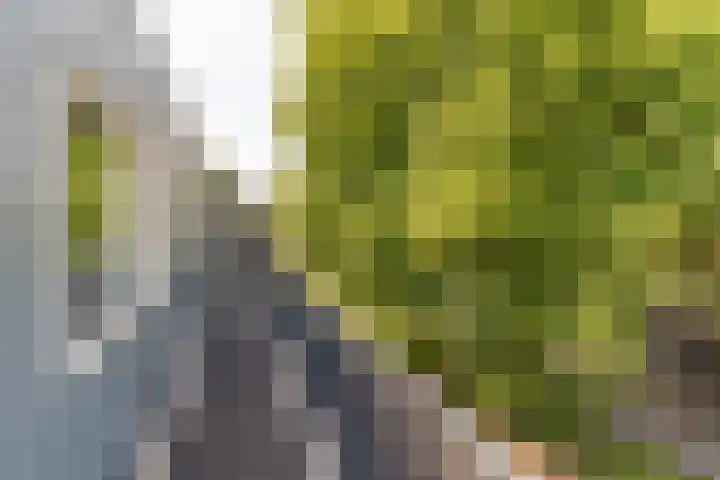 Van der Mijll Dekkerhof 24 Nunspeet thumbnail 10