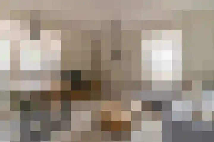 Van der Mijll Dekkerhof 24 Nunspeet thumbnail 13