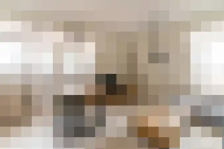 Van der Mijll Dekkerhof 24 Nunspeet thumbnail 14