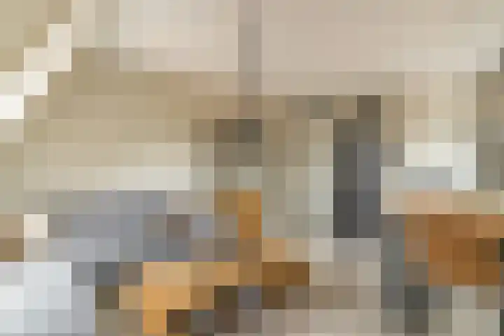 Van der Mijll Dekkerhof 24 Nunspeet thumbnail 15