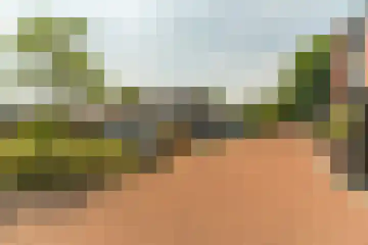Van der Mijll Dekkerhof 24 Nunspeet thumbnail 27