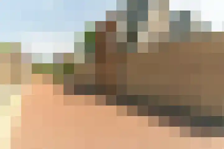 Van der Mijll Dekkerhof 24 Nunspeet thumbnail 28