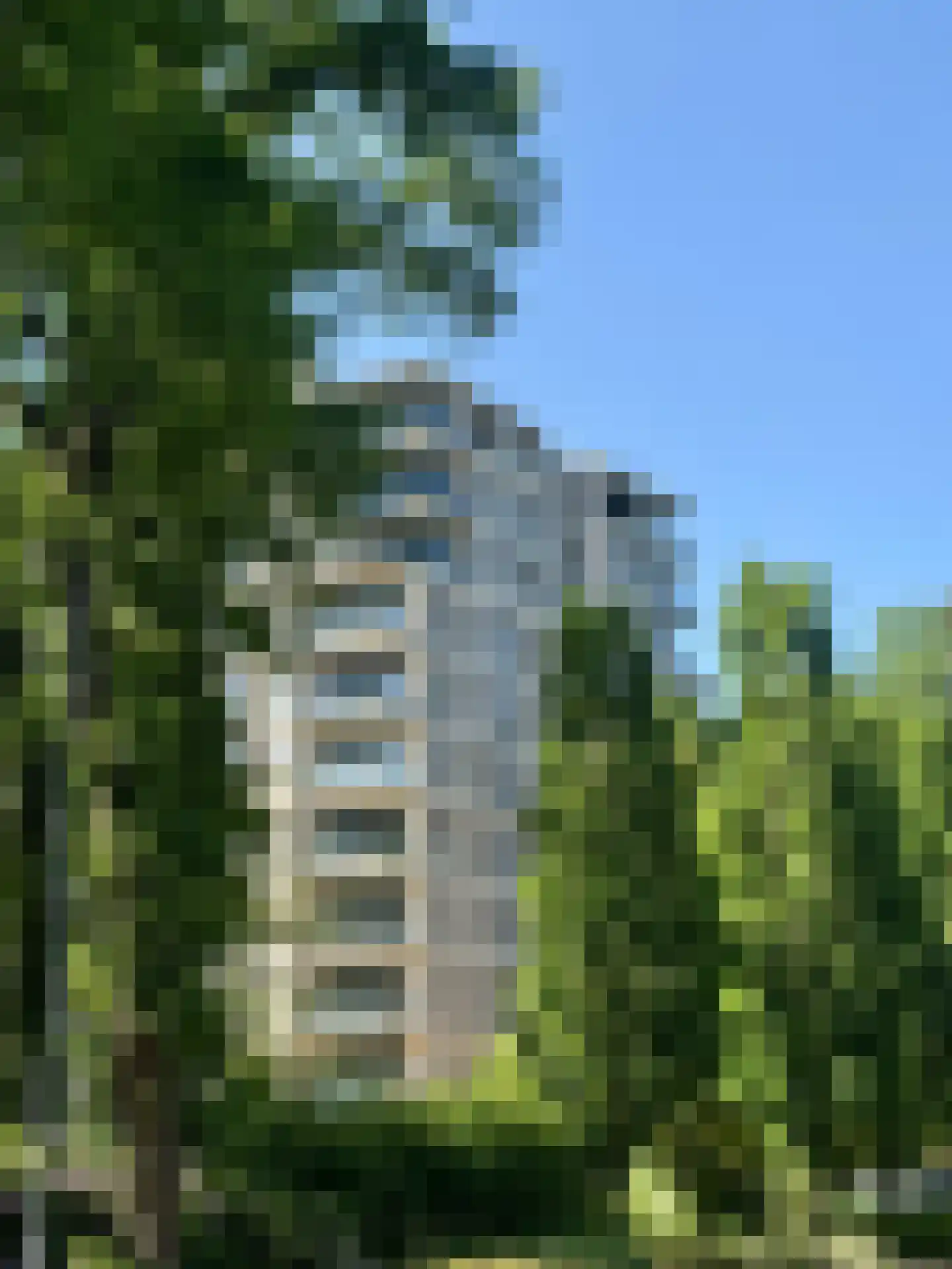 van der Molenallee 12 5 Doorwerth thumbnail 8