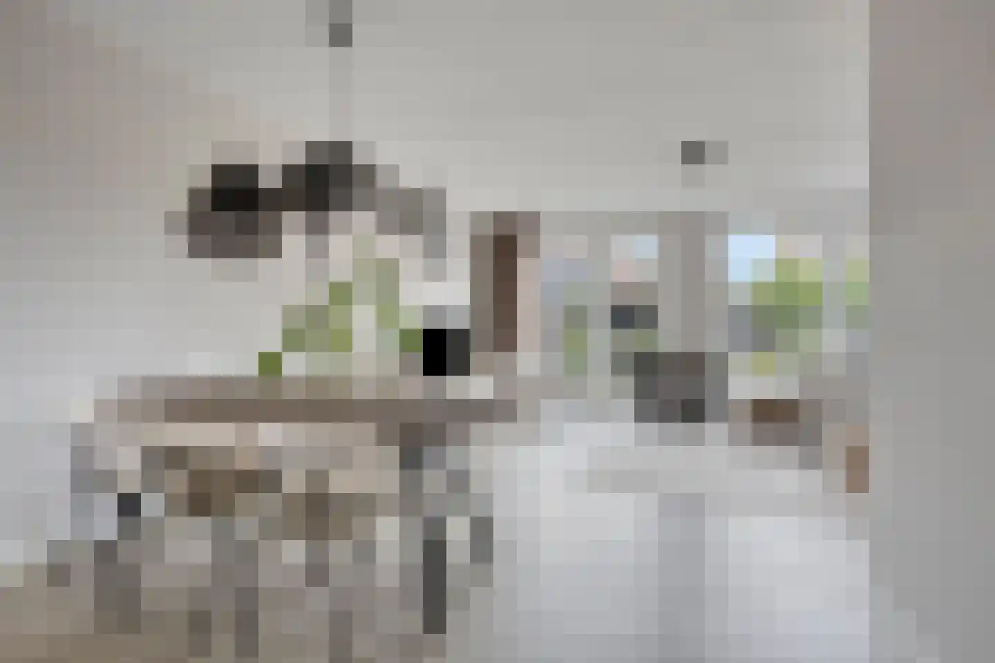 Van der Molenhage 4 Emmeloord thumbnail 11