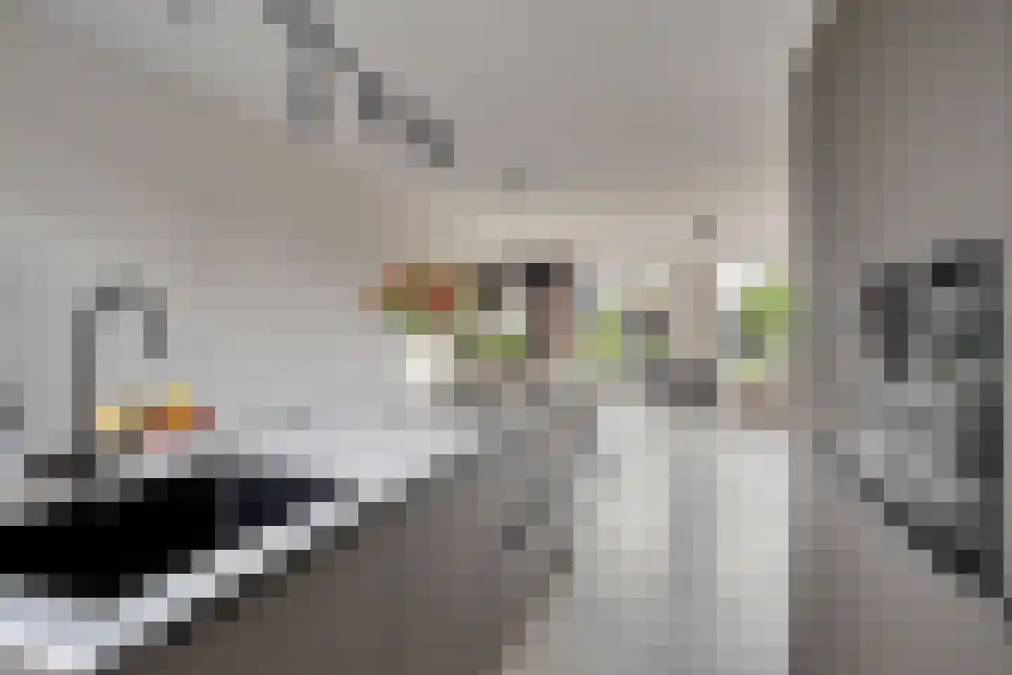 Van der Molenhage 4 Emmeloord thumbnail 12