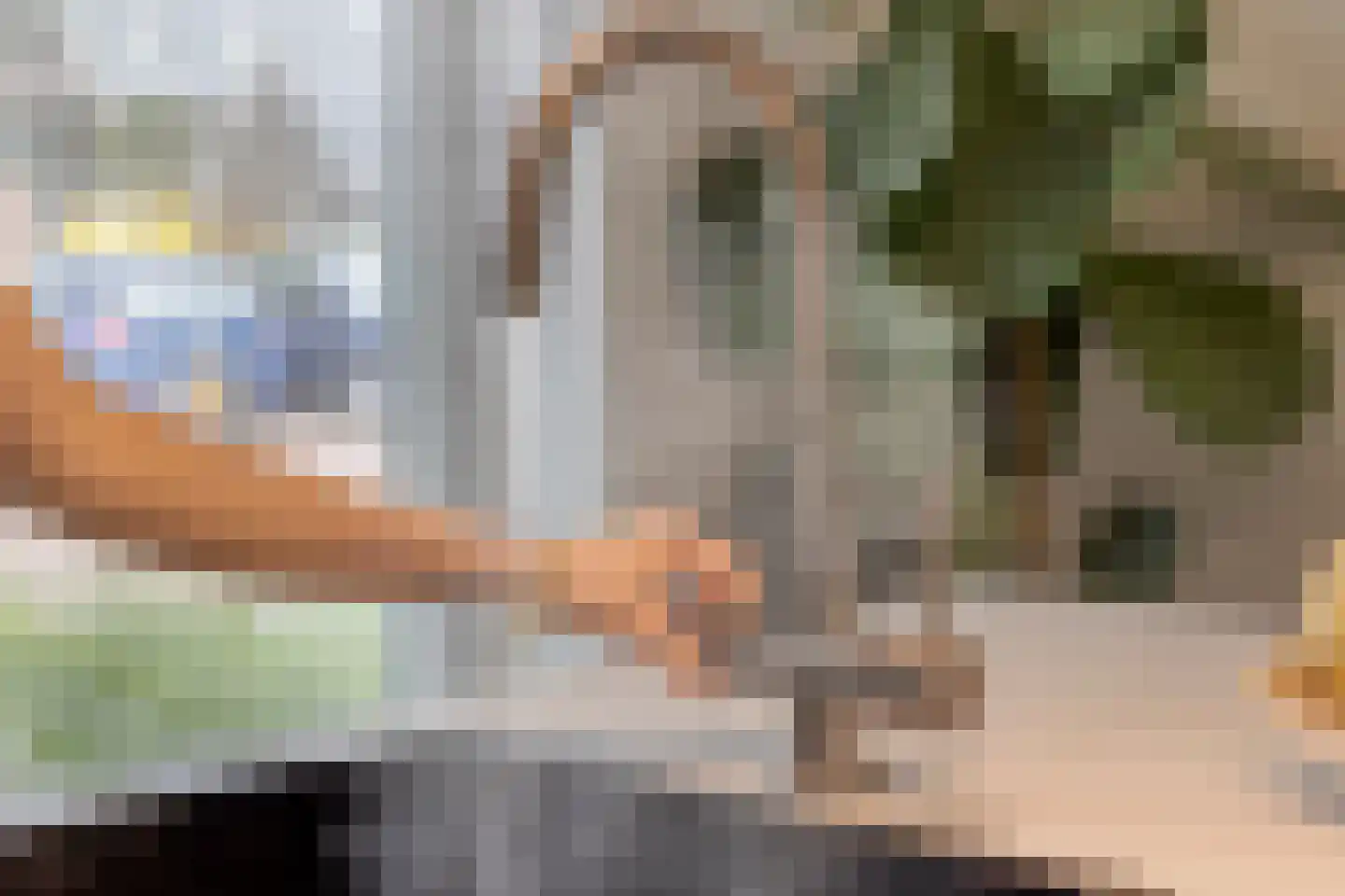Van der Molenhage 4 Emmeloord thumbnail 14