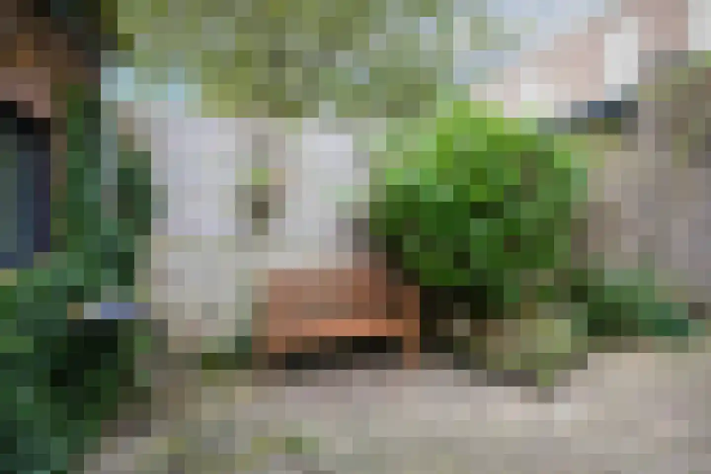 Van der Mondestraat 127 Utrecht thumbnail 39