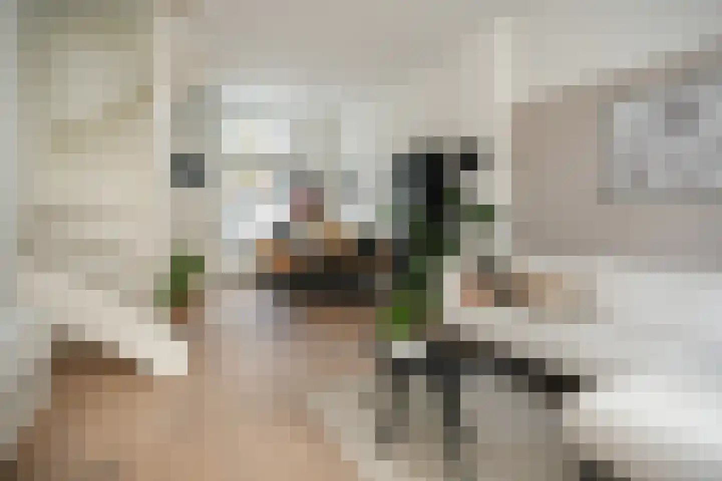 Van der Mondestraat 16 A Utrecht thumbnail 15