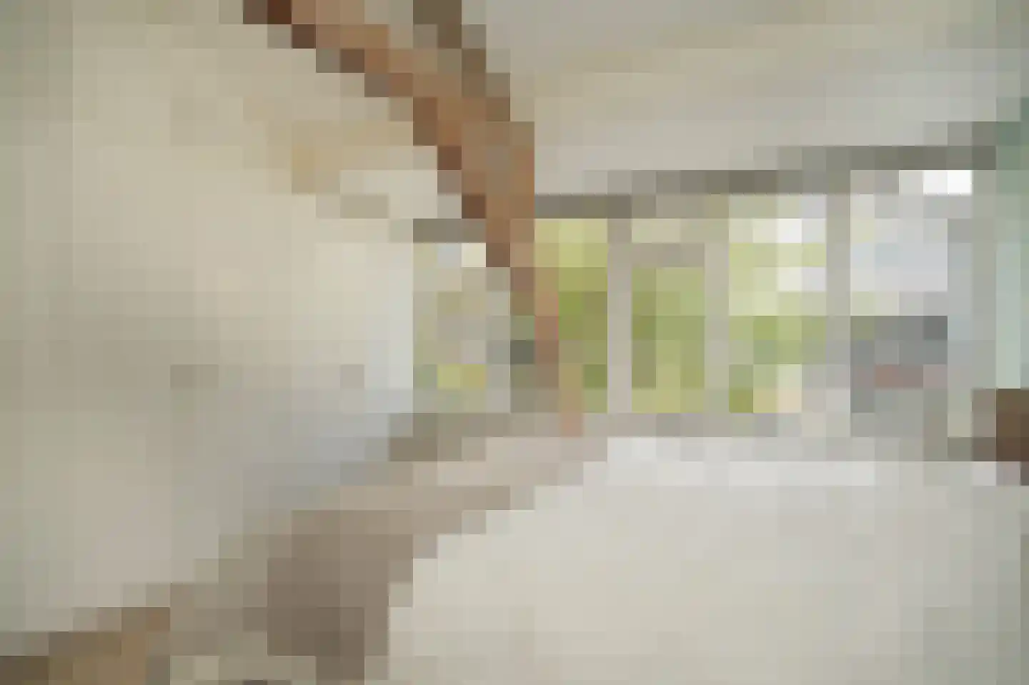 Van der Mondestraat 16 A Utrecht thumbnail 23