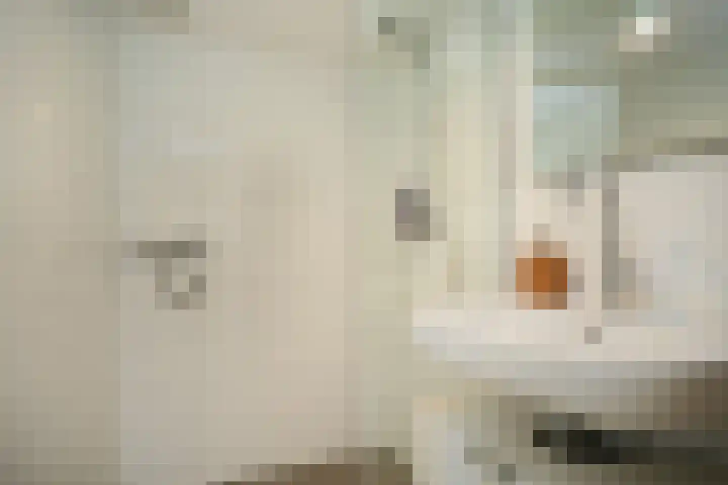 Van der Mondestraat 16 A Utrecht thumbnail 26