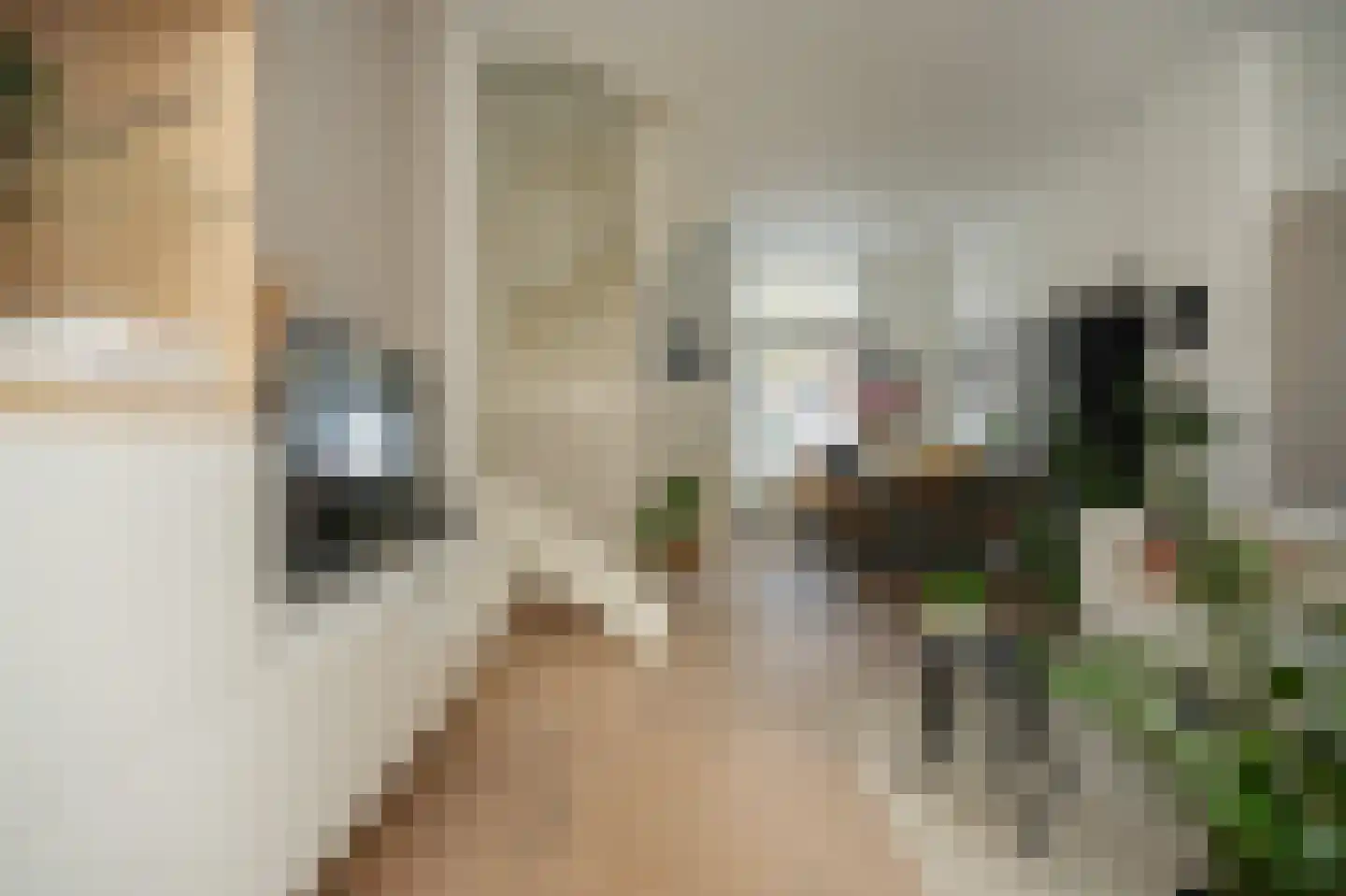 Van der Mondestraat 16 A Utrecht thumbnail 9