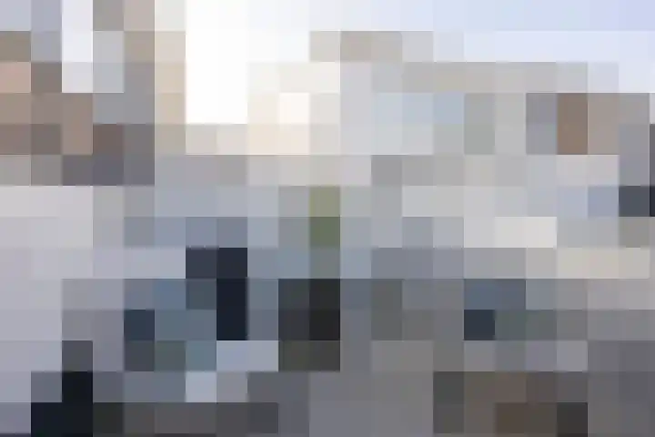 Van der Mondestraat 6 Utrecht thumbnail 20