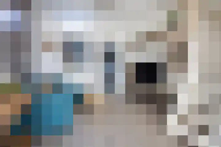 Van der Mondestraat 6 Utrecht thumbnail 7