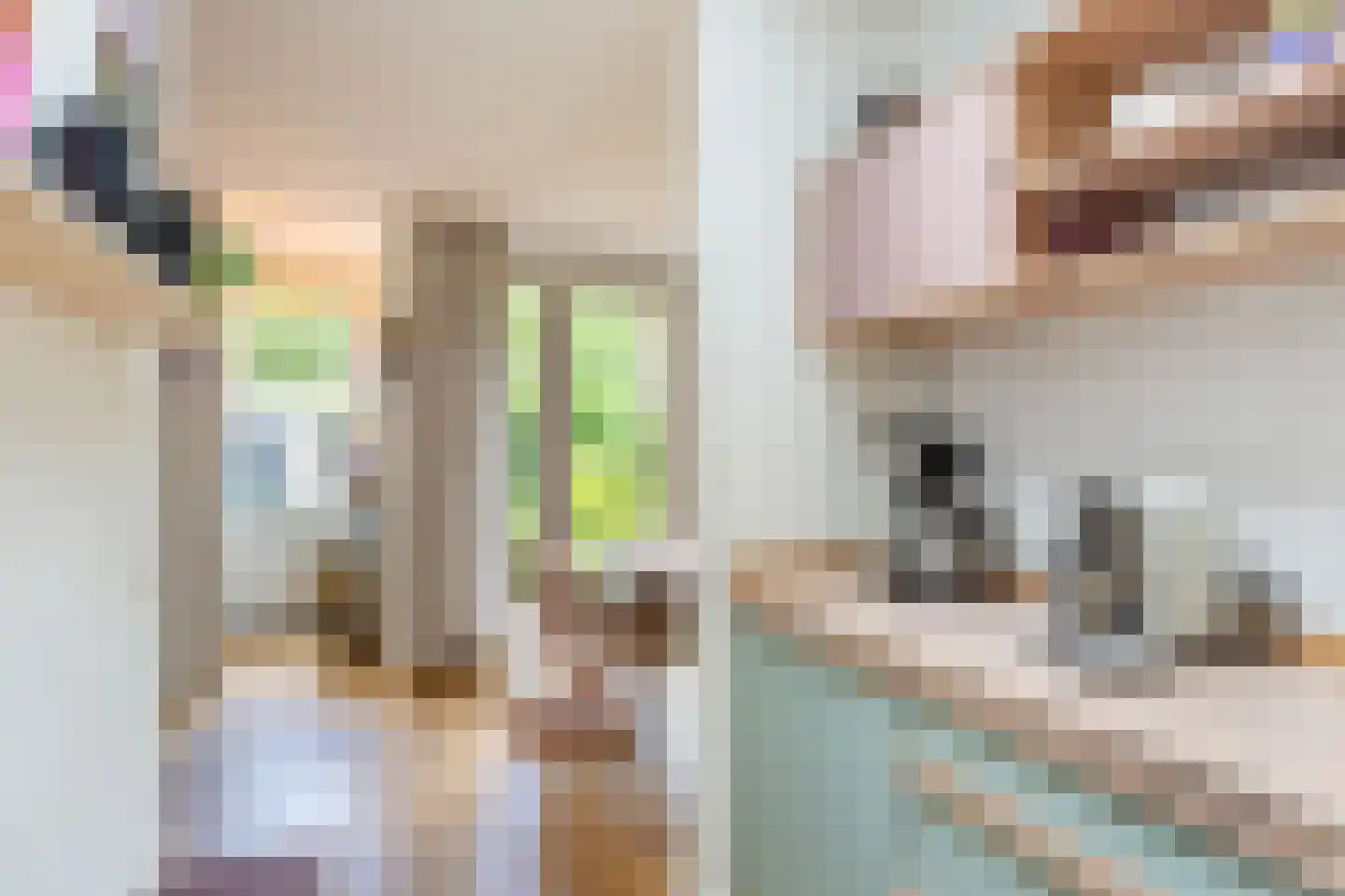 Van der Mondestraat 60 Utrecht thumbnail 19