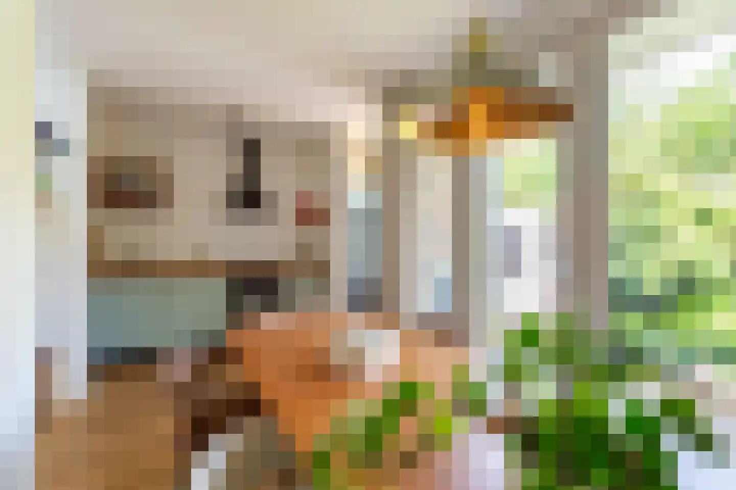 Van der Mondestraat 60 Utrecht thumbnail 23