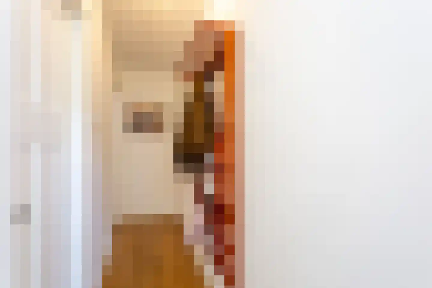 Van der Mondestraat 60 Utrecht thumbnail 6