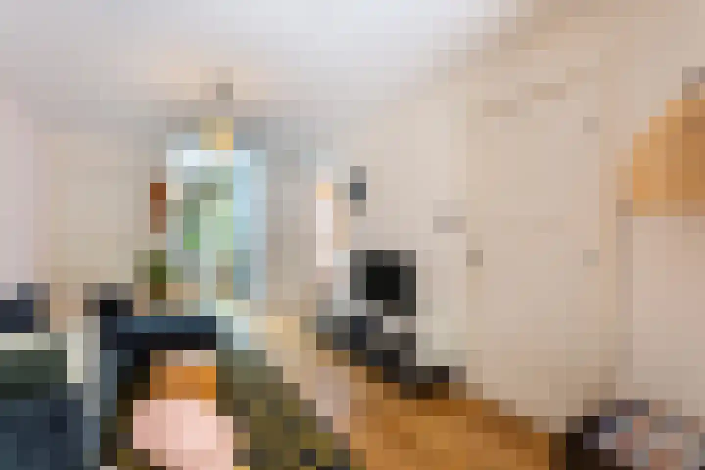 Van der Mondestraat 60 Utrecht thumbnail 9