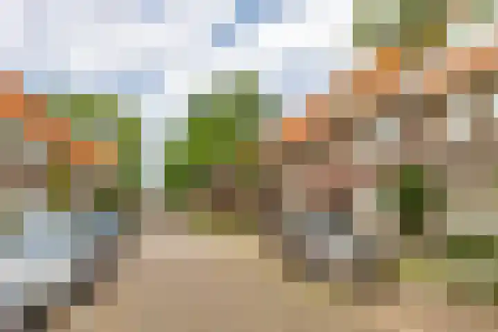 Van der Mondestraat 91 Utrecht thumbnail 31